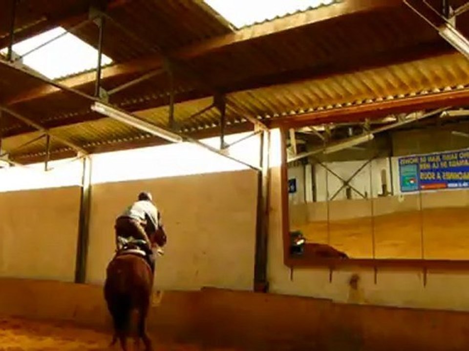 utah essais de galop avec mouches plates... oups