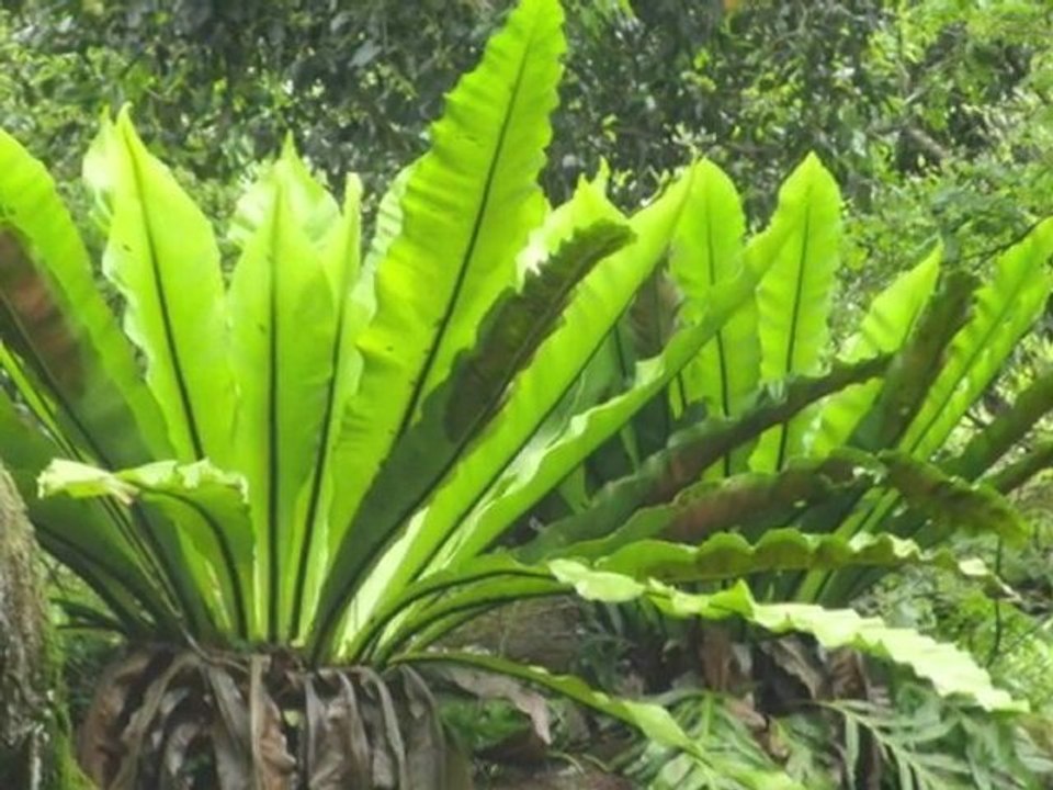 Body-Matter Challenges of Living by Natalie Kawai - Medium.m4v