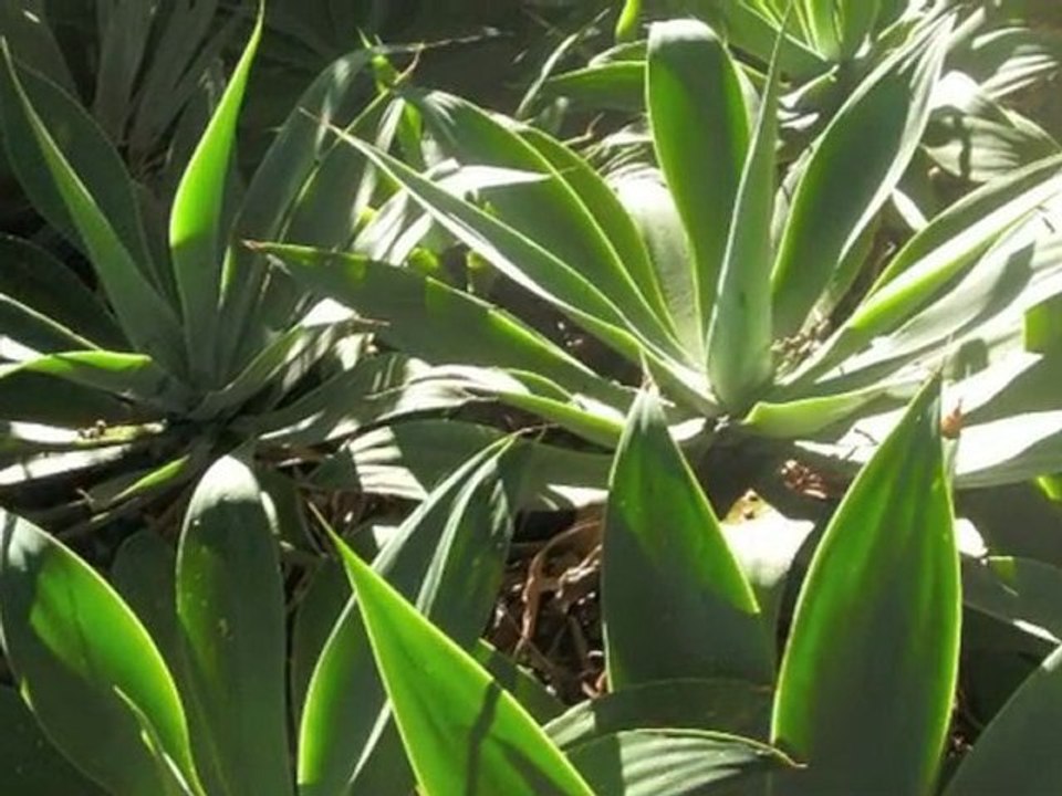 Co-Dependency and the Loss of Self by Natalie Kawai