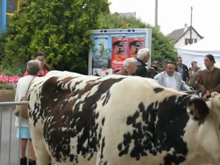 BLEVILLE  SAINT  FIACRE  AOUT  2011  (6)