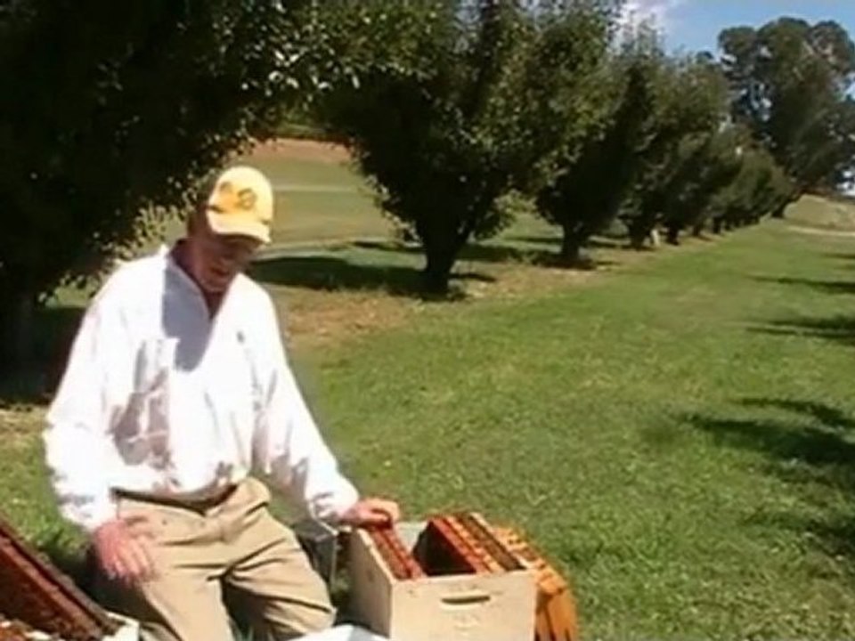 Irradiating hives