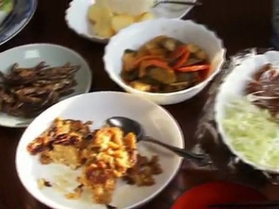 japon découverte de l'écologie 1sur5