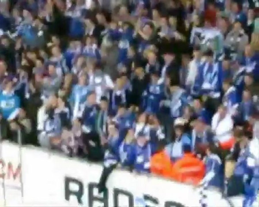 les escargots de gand - COME ON BLEU WHITE.