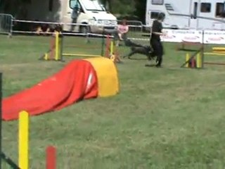 Echo jumping Romorantin 28 08