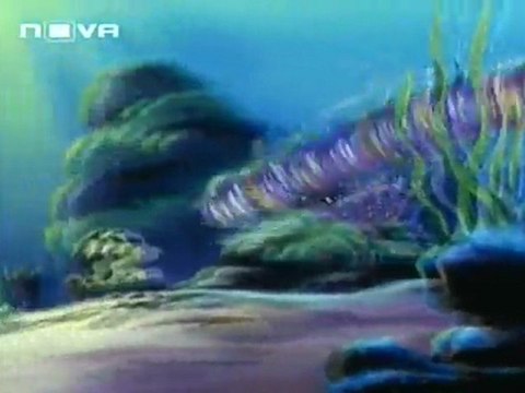 Малката Русалка Сезон 3 Епизод 7 Бг Аудио