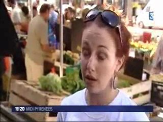 Les Radicaux de gauche en campagne