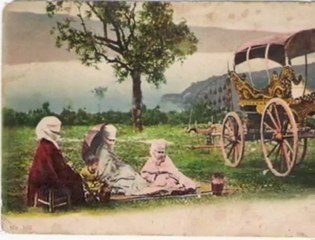 kardes turk-sarmasik gul