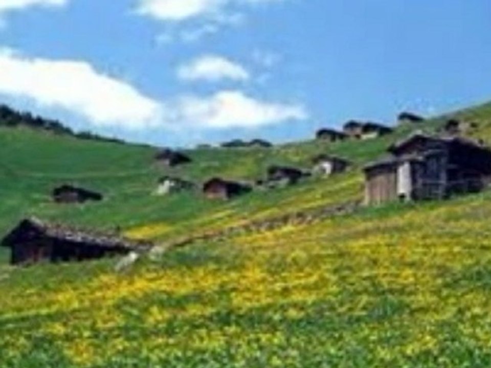 SİYAH GÖZLERİNE BENİ DE GÖTÜR