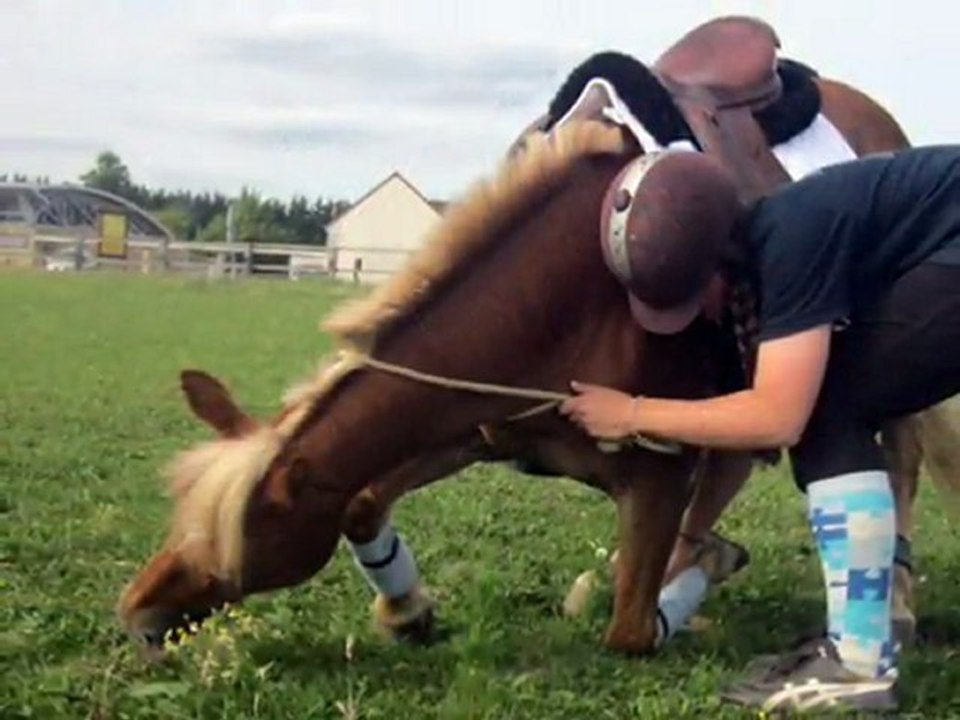 J'ai de l'Or entre les Mains qui aurais pu le Croire ? Imprévue