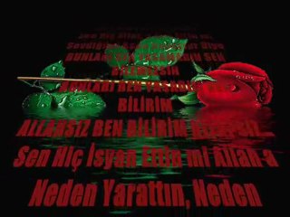 SENİ SEVDİĞİM İÇİN ÖZÜR DİLERİMMM.