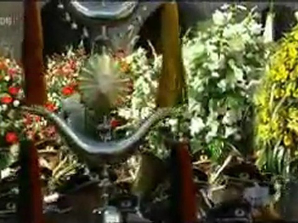 schützenfest vorbeimarsch2011