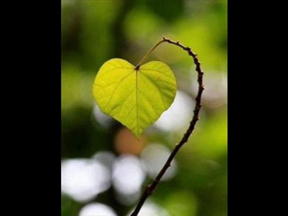 Ben Seninle - Halil Kurt