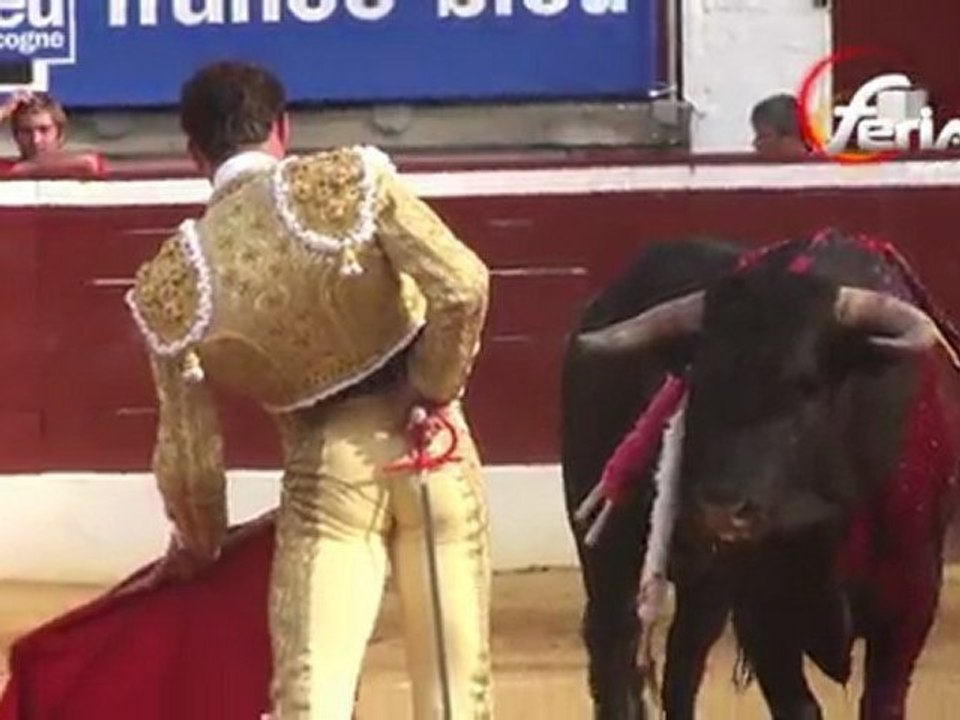 NOVILLADA DE SAINT-PERDON 2011