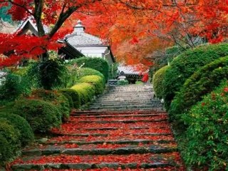 kalp kalbe karsı derler