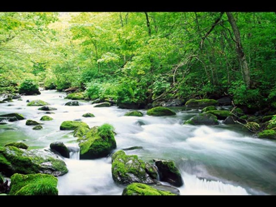 Mantra de la compasión Om mani padme hum