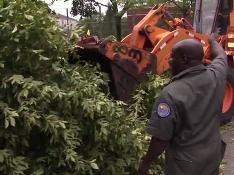 New Yorkers survey damage from tropical storm Irene