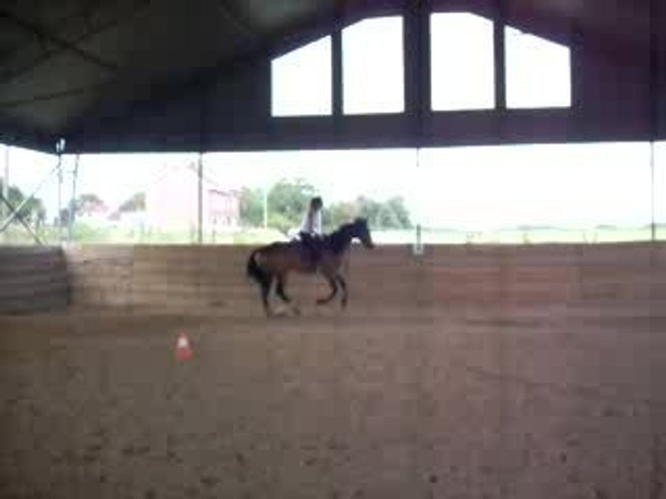 Zoe et gitan