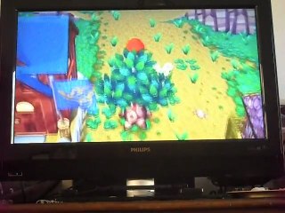 Animal Crossing Wii: La Déesse De La Fontaine