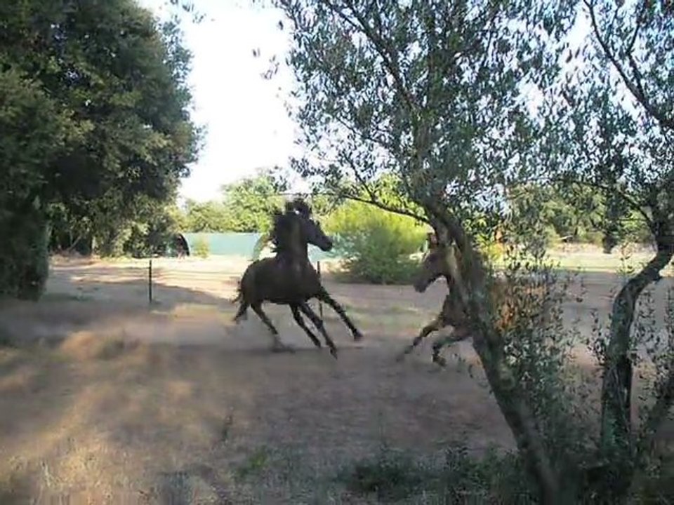 Pieds nus et sans complexe 2