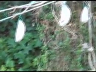 日本の迷菓　城ヶ島　前編