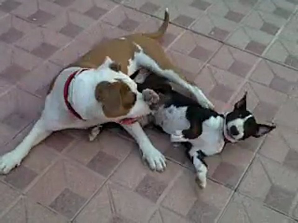 VID-20110802-00000