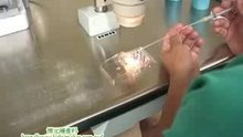 冷凍胚胎