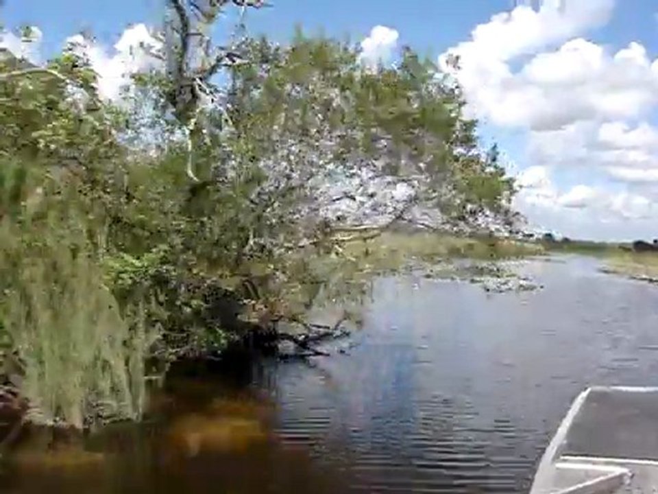 AIRBOAT dans les EVERGLADES