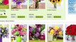 ProFlowers Coupons | A Guide To Saving with ProFlowers Coupon Codes and Promo Codes