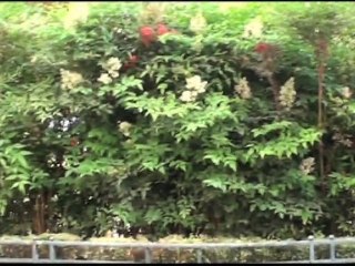 Asma - PGSM - Promotion 2010