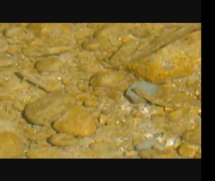 Chéran rivière vivante