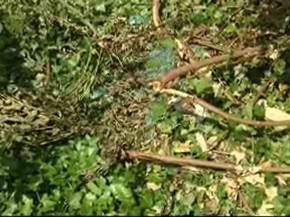 Un papy sauvé par des ados