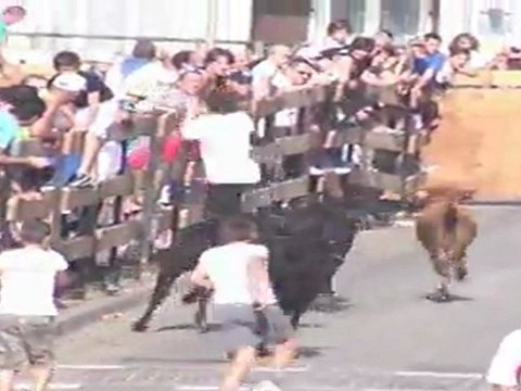 Encierro des Fêtes de Rion des Landes 2011