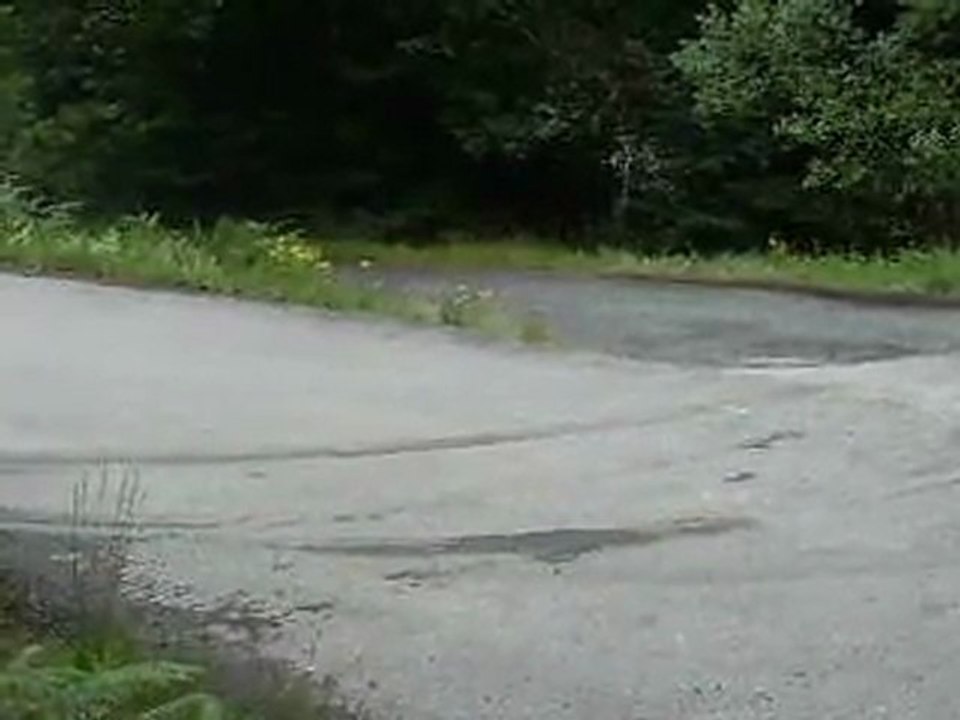 test Ford Fiesta WRC