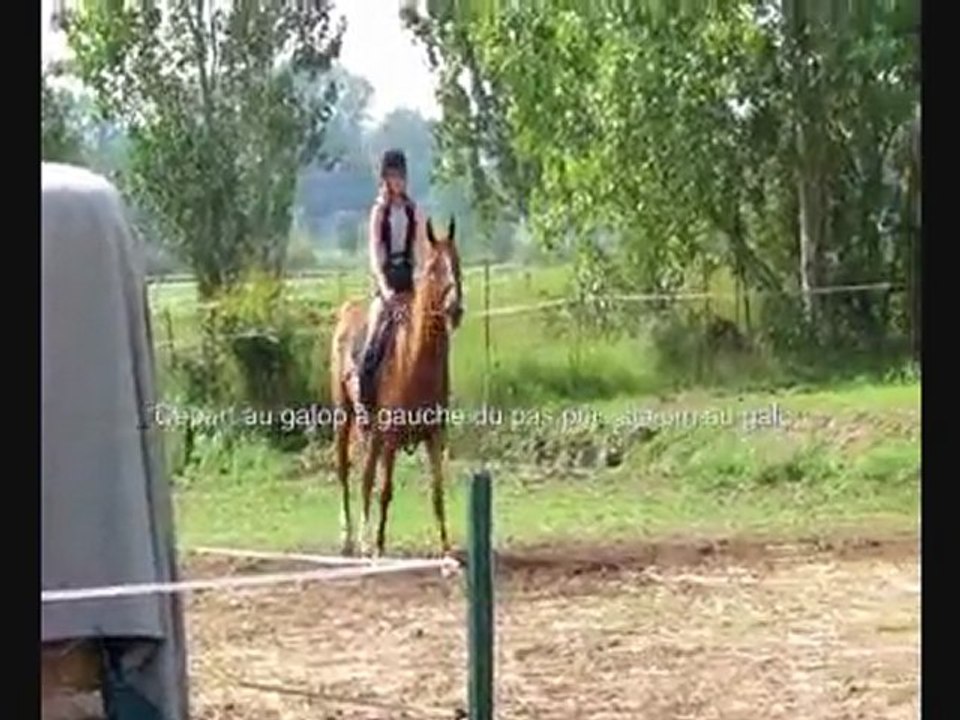 PTV du Galop 6 (26/08/2011)