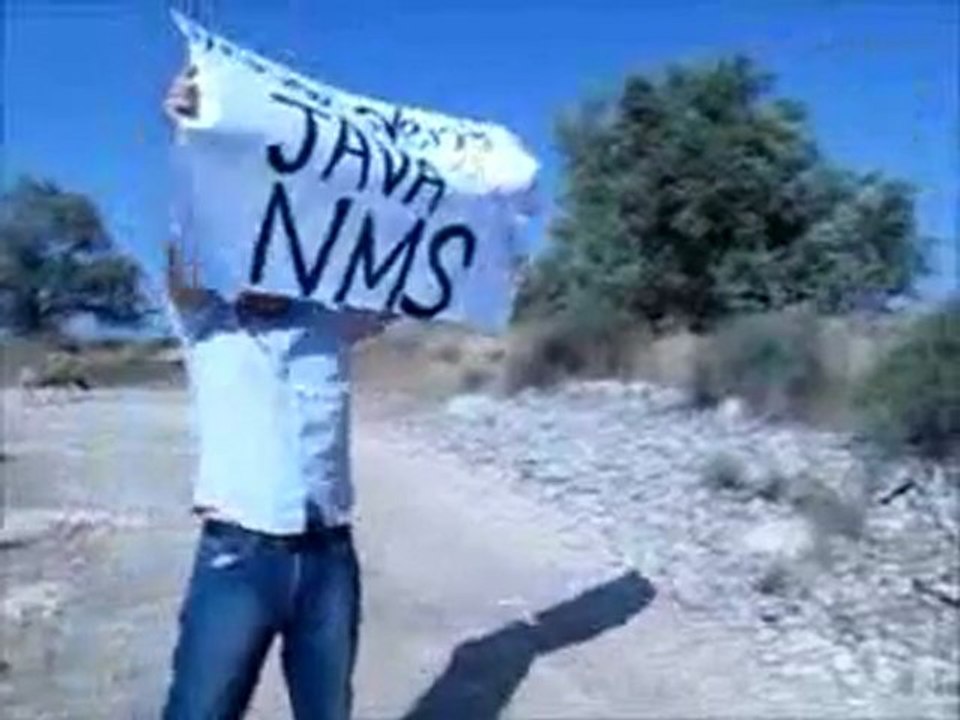 דרושים מתכנתים לחברת פיקארו - השמה להייטק
