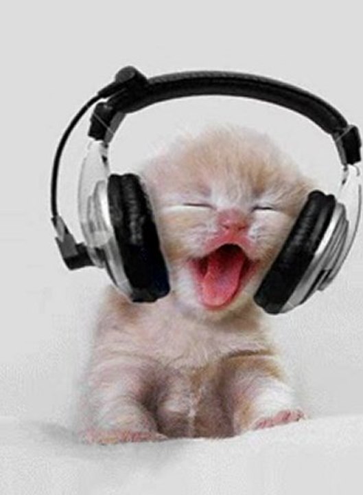 TELECHARGEMENT GRATUIT :: TELECHARGER GRATUITEMENT