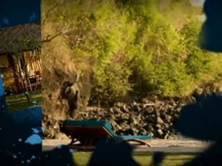 Looking For Senggigi Hotel Lombok Accommodation?