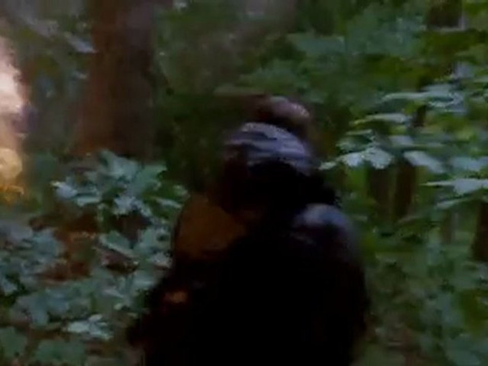 The Hunger Games Teaser