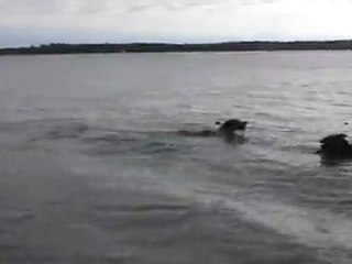 1er bain au lac de léon