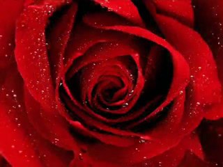 NUNCA DIGAS  "Los Solitarios"  {CLASSIC LOVE SONGS}