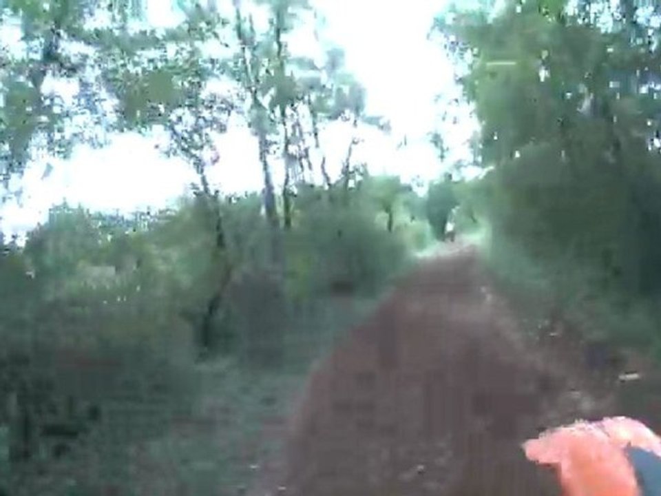 CLIP0003