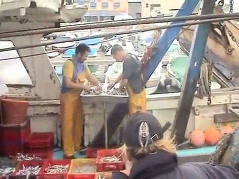 Accepter (ou refuser) le Vrai Bonheur