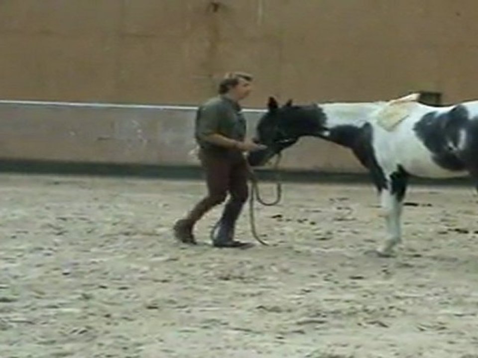 Désensibilisation - Toucher du flag
