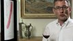 Gamay Atlantique 2009 Philippe Bovet - Wein im Video