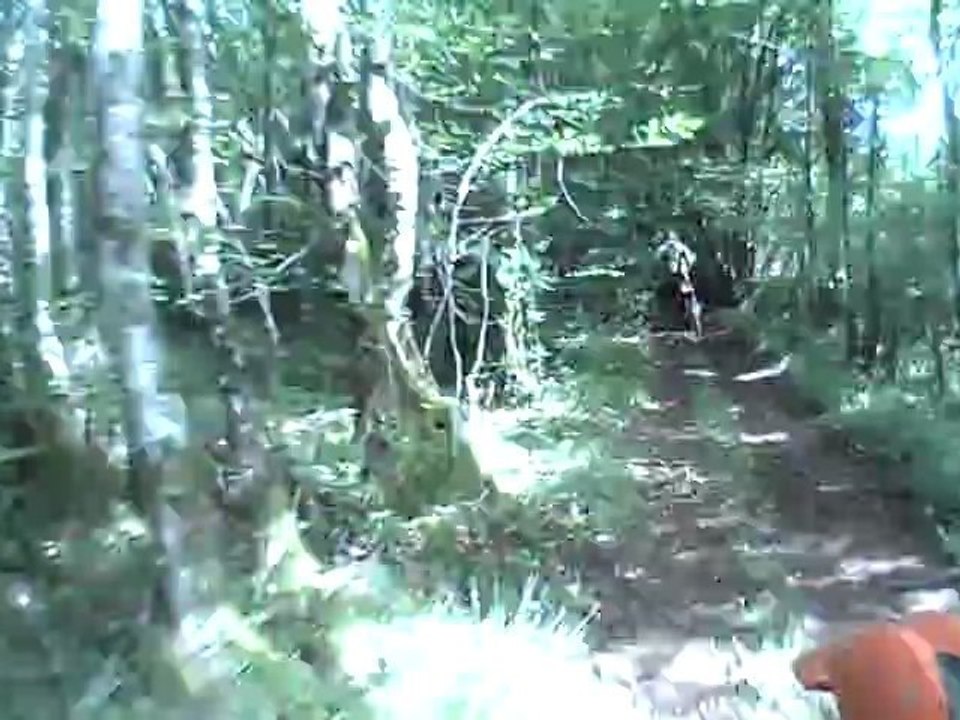 CLIP0009