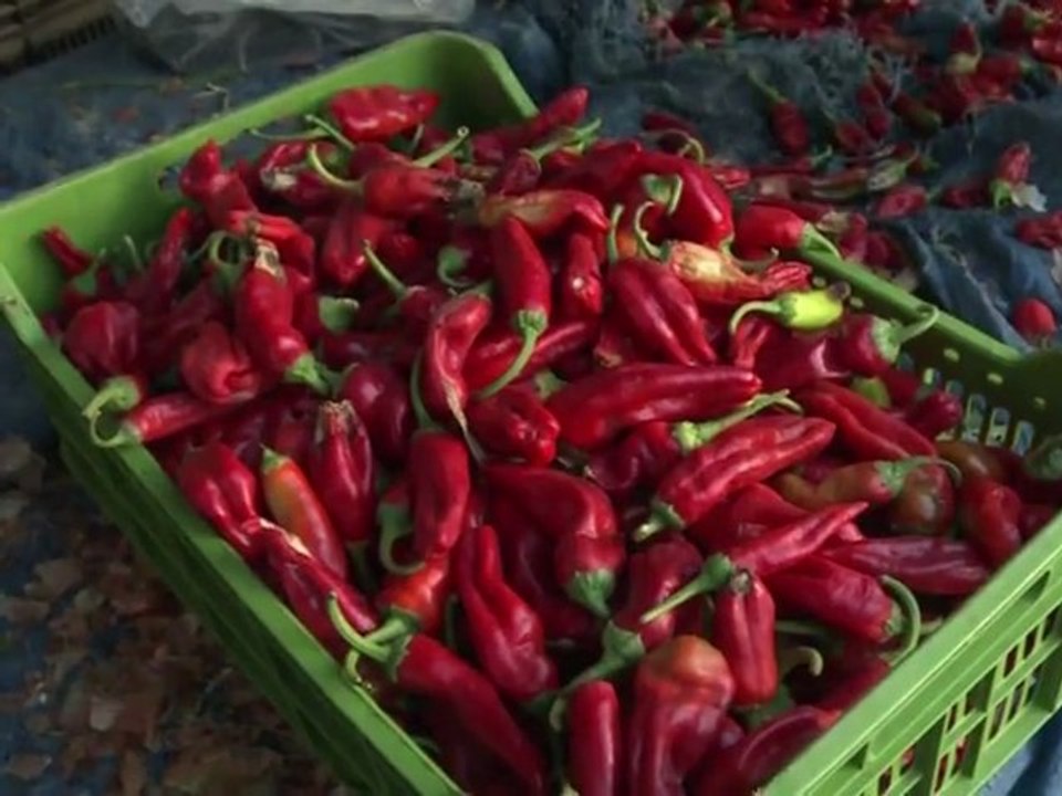 Libyans prepare to celebrate Eid without Kadhafi