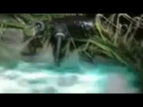 PF -Info ou intox (Créatures nocturnes, soucoupes volantes)