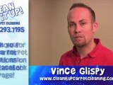 Carpet Cleaning Salt Lake City - How to get chocolate out
