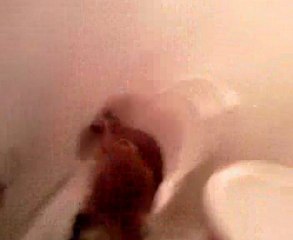 İste Dogukanın Iknma Anları xD