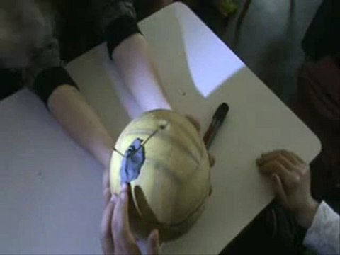 sciences cycle 3 mouvements de la Terre ct-ro-s1-e6